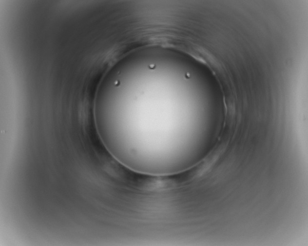 X0000114160379200910081358