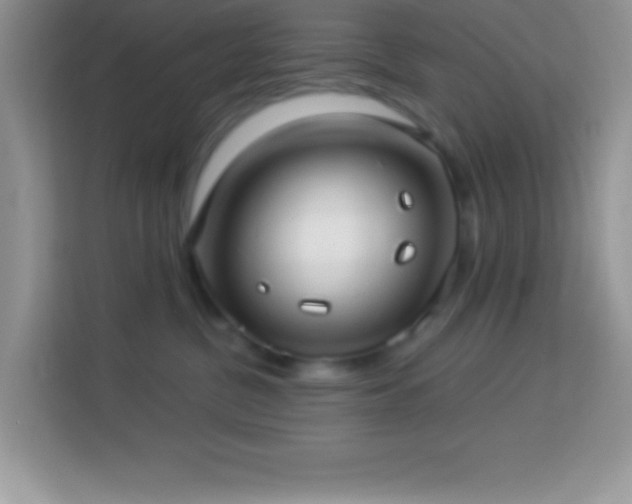 X0000114160380200910081358