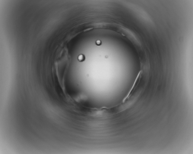 X0000114160382200910081358