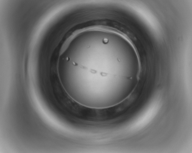 X0000114160383200910081358