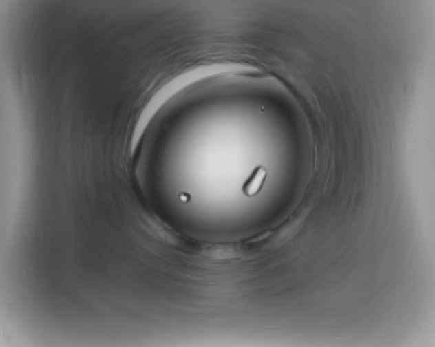 X0000114160384200910081358