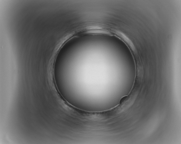 X0000114160385200910081358