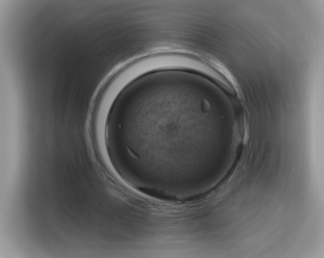 X0000114160387200910081357