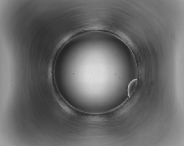 X0000114160389200910081357