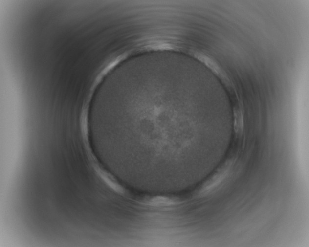 X0000114160390200910081357