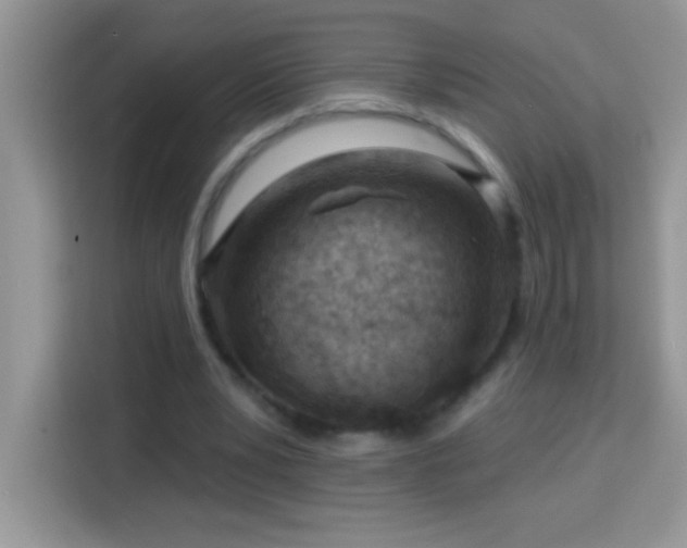 X0000114160391200910081357