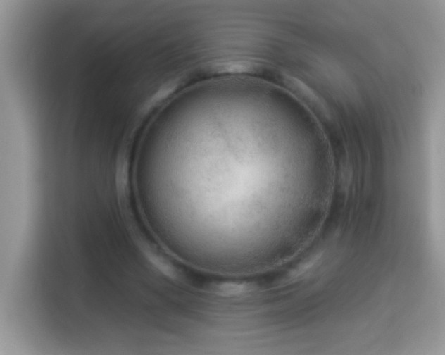 X0000114160394200910081357