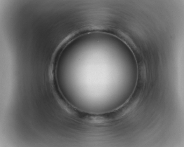 X0000114160395200910081357