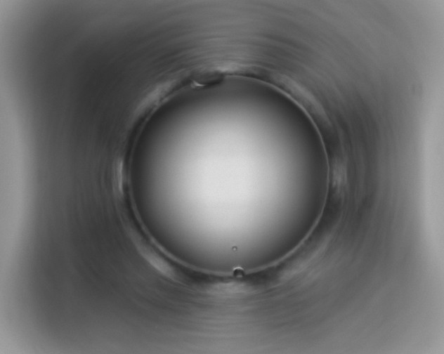 X0000114160397200910081357