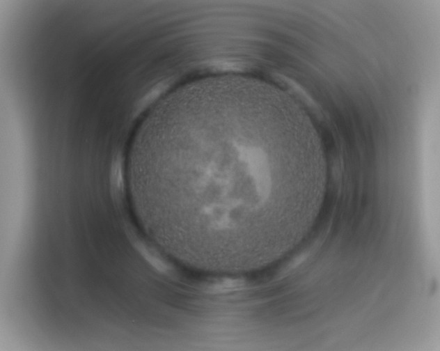 X0000114160398200910081357