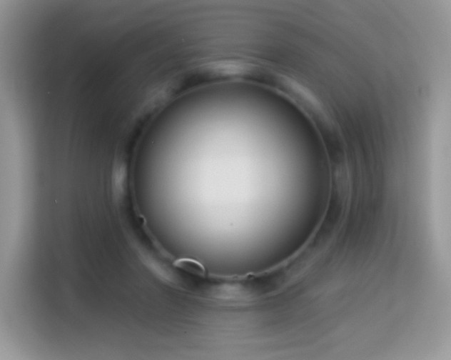 X0000114160406200910081357