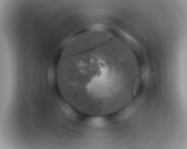 X0000114160409200910081357