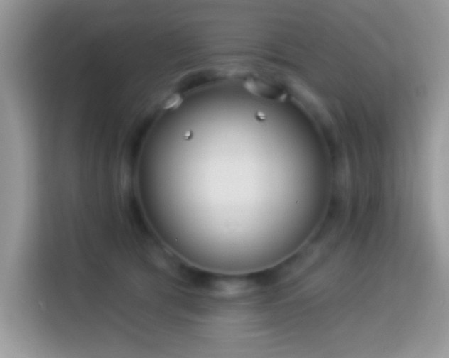 X0000114160417200910081357