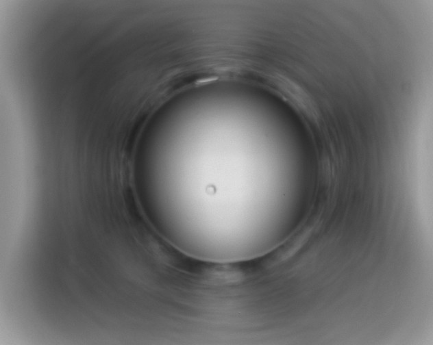 X0000114160421200910081357