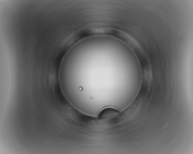 X0000114160422200910081357