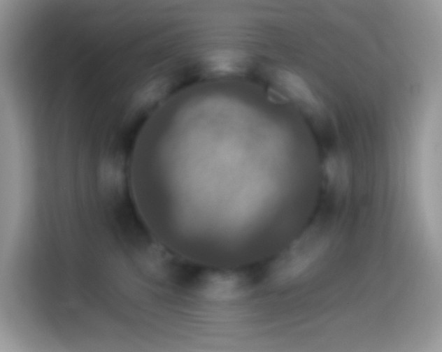 X0000114160423200910081357