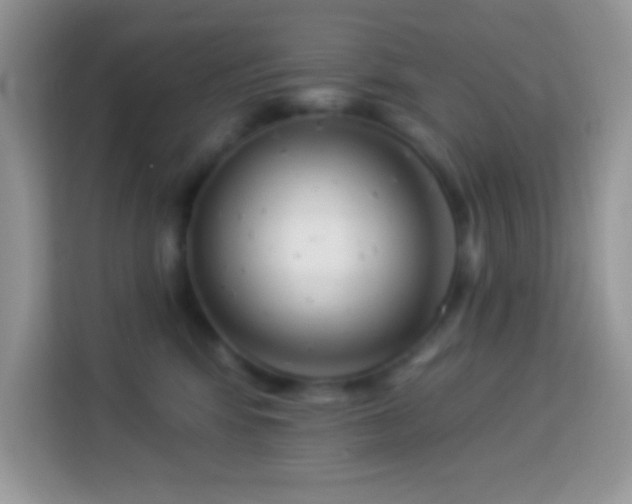 X0000114160424200910081357