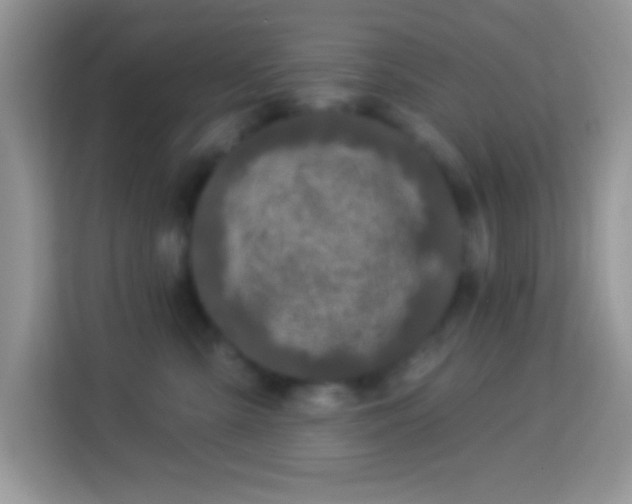 X0000114160427200910081357