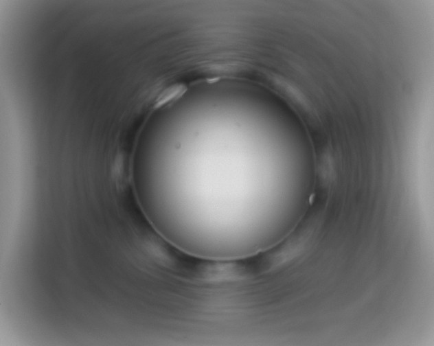 X0000114160428200910081357