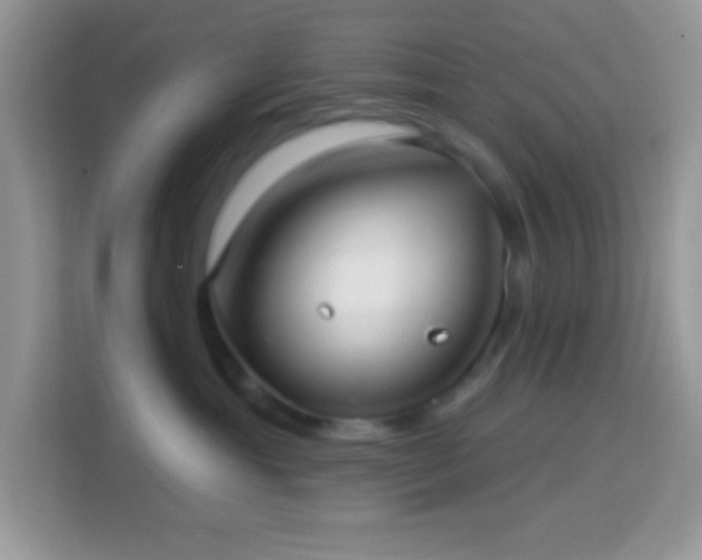 X0000114160429200910081357