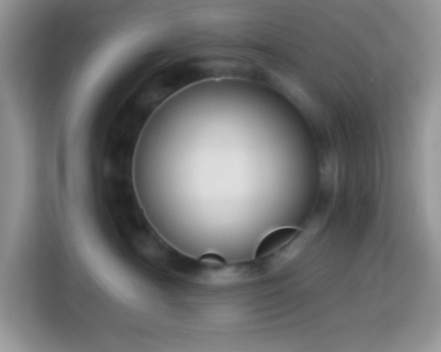 X0000114160430200910081357