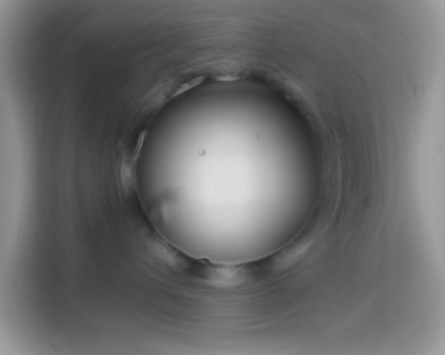 X0000114160432200910081357