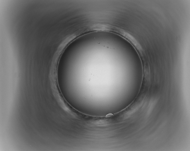 X0000114160433200910081356