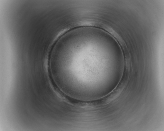 X0000114160434200910081356