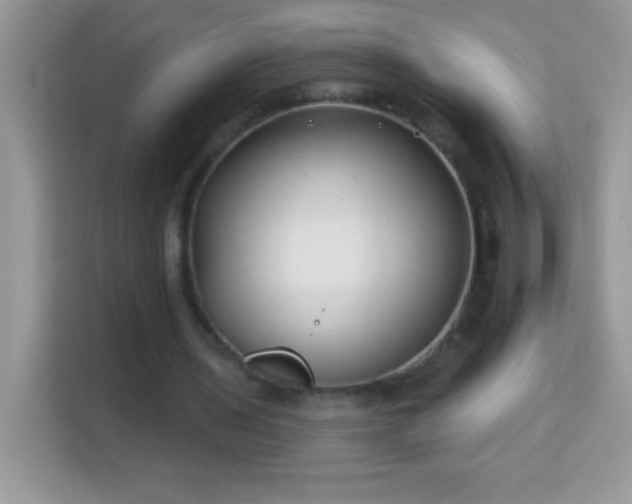 X0000114160435200910081356