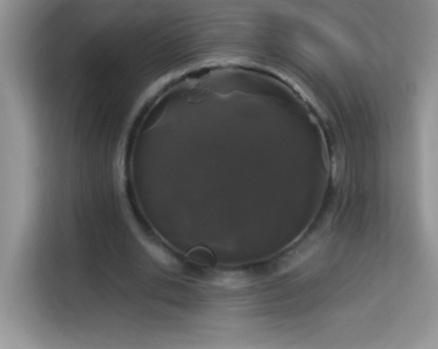 X0000114160438200910081356