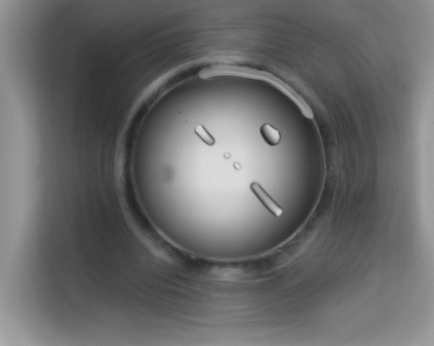 X0000114160440200910081356