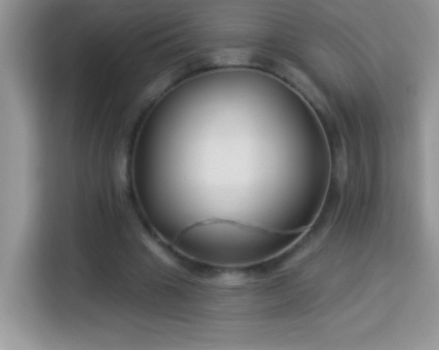 X0000114160441200910081356