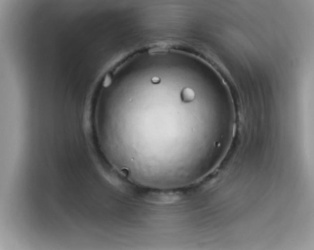 X0000114160443200910081356