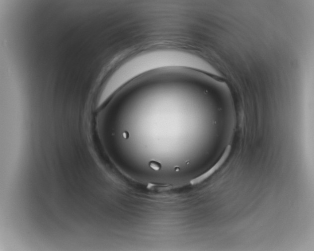 X0000114160444200910081356