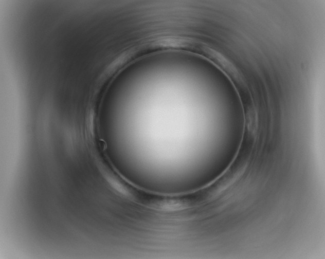 X0000114160445200910081356