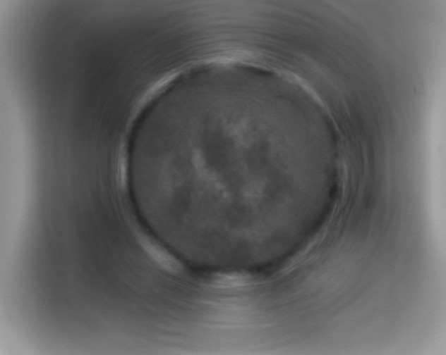 X0000114160446200910081356