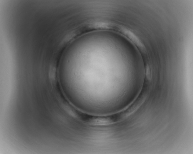 X0000114160449200910081356