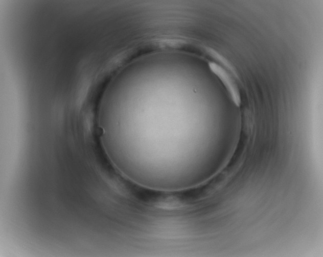 X0000114160451200910081357