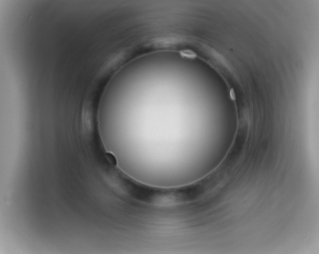 X0000114160452200910081357