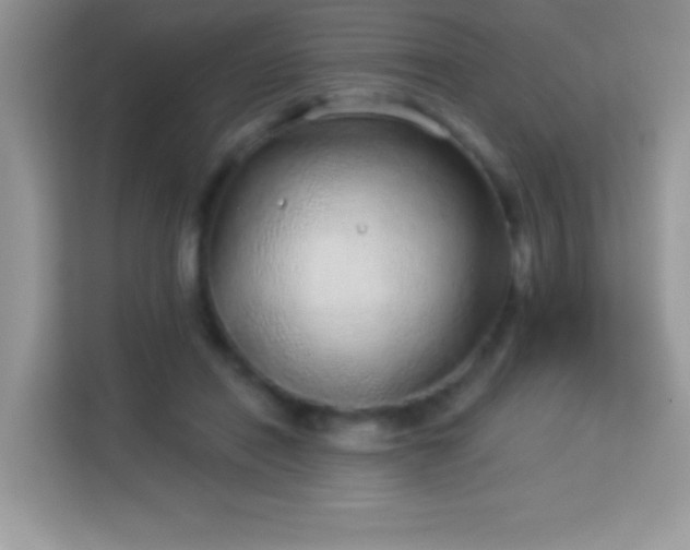 X0000114160454200910081357