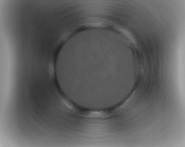 X0000114160457200910081357