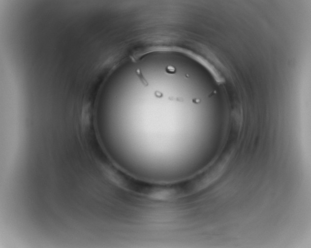 X0000114160458200910081357