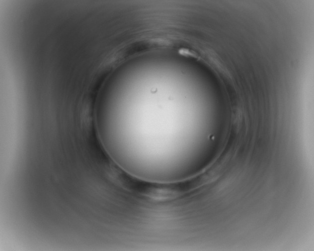 X0000114160466200910081357