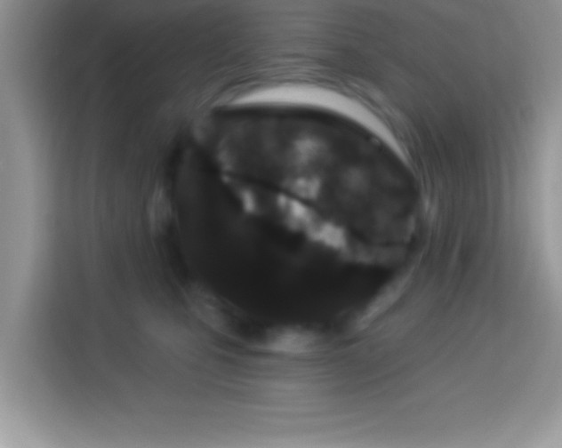 X0000114160471200910081357