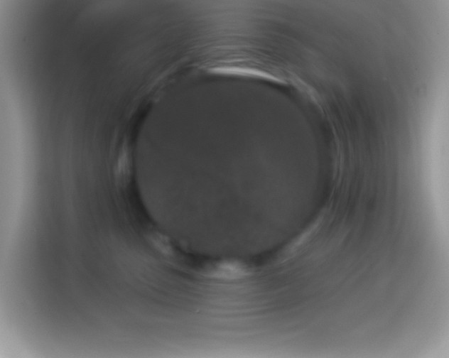 X0000114160475200910081357