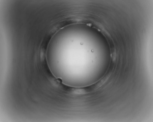 X0000114160476200910081357