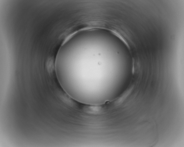 X0000114160478200910081357