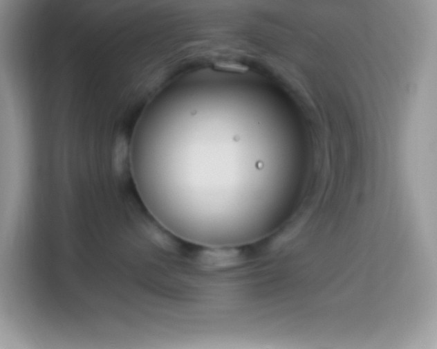 X0000114160480200910081357