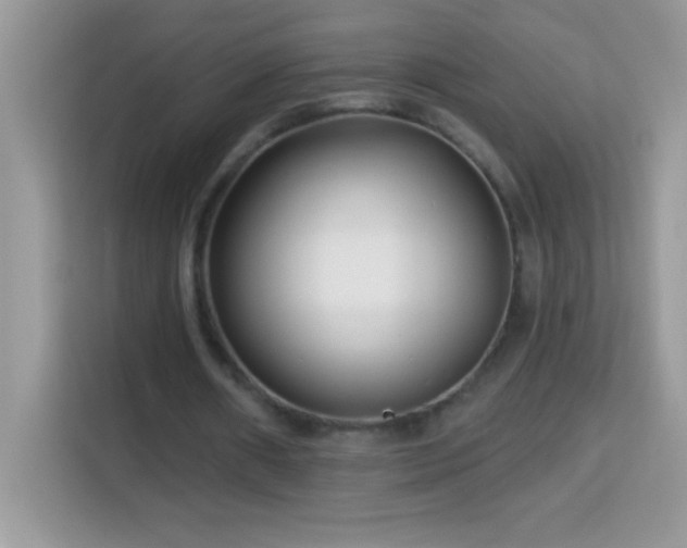 X0000114160482200910081356