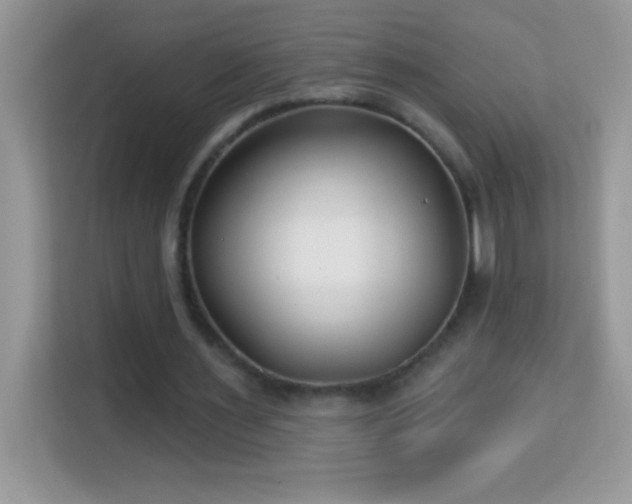 X0000114160483200910081356